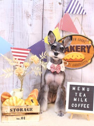 20240921ニーナちゃん